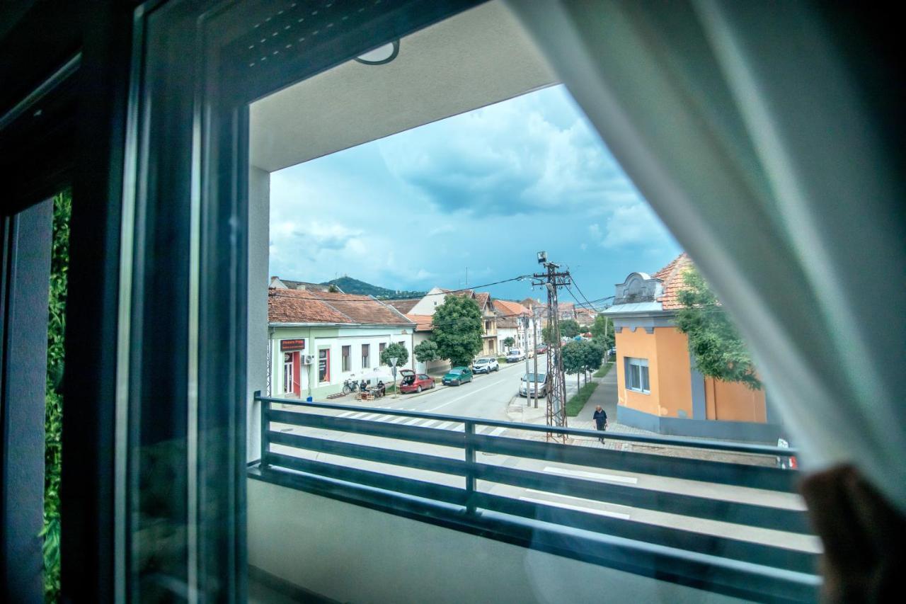 Royal Luxury Apartment Vrsac Dış mekan fotoğraf
