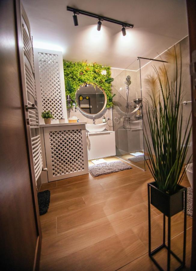 Royal Luxury Apartment Vrsac Dış mekan fotoğraf